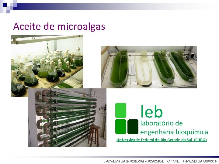 Aceite de microalgas leb laboratório de engenharia bioquímica Universidade Federal do Rio Grande do