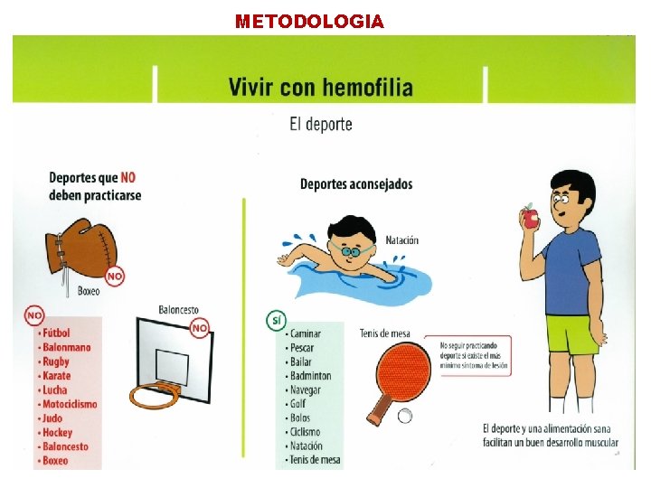 METODOLOGIA 