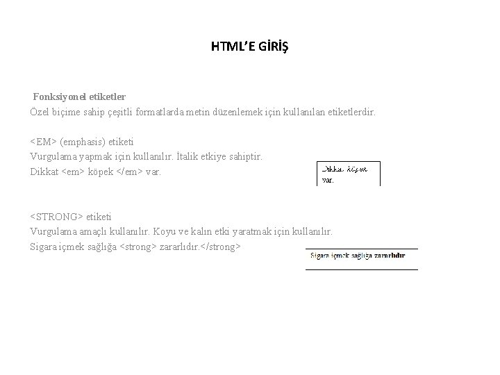 HTML’E GİRİŞ Fonksiyonel etiketler Özel biçime sahip çeşitli formatlarda metin düzenlemek için kullanılan etiketlerdir.