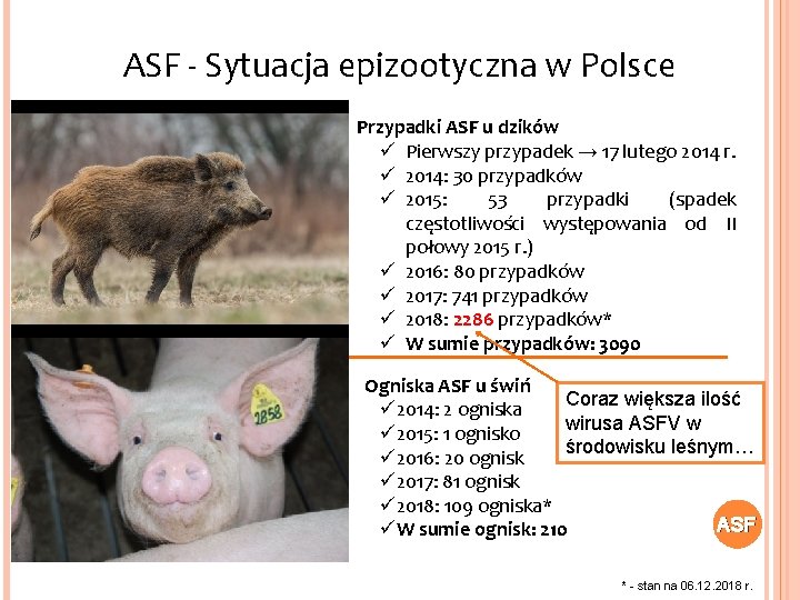 ASF - Sytuacja epizootyczna w Polsce Przypadki ASF u dzików ü Pierwszy przypadek →