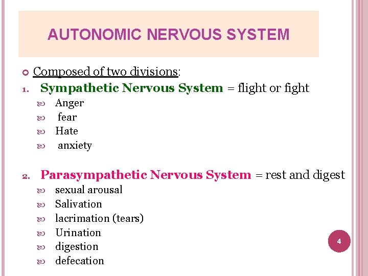 AUTONOMIC NERVOUS SYSTEM 1. Composed of two divisions: Sympathetic Nervous System = flight or