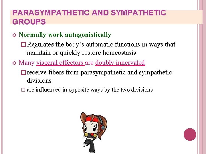 PARASYMPATHETIC AND SYMPATHETIC GROUPS Normally work antagonistically � Regulates the body’s automatic functions in