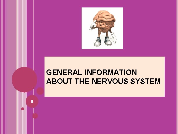 GENERAL INFORMATION ABOUT THE NERVOUS SYSTEM 8 