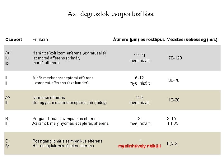 Az idegrostok csoportosítása Csoport Funkció Átmérő (μm) és rosttípus Vezetési sebesség (m/s) Aα Ia