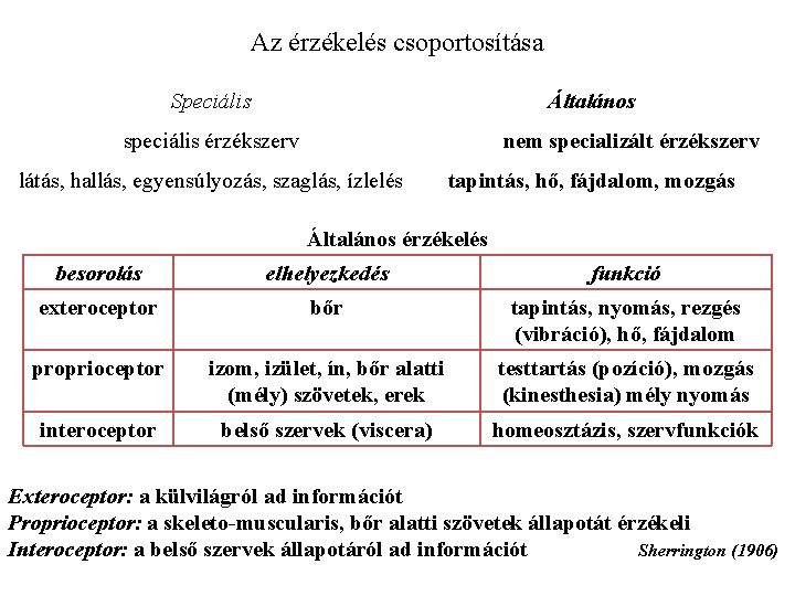 Az érzékelés csoportosítása Speciális Általános speciális érzékszerv nem specializált érzékszerv látás, hallás, egyensúlyozás, szaglás,