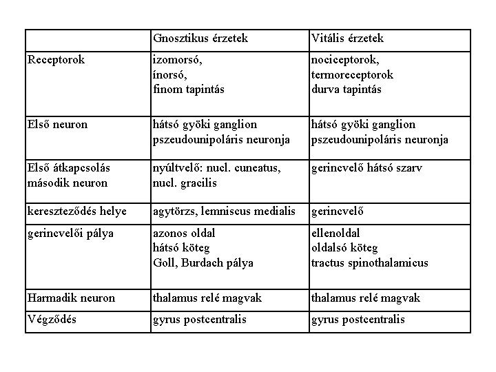 Gnosztikus érzetek Vitális érzetek Receptorok izomorsó, ínorsó, finom tapintás nociceptorok, termoreceptorok durva tapintás Első