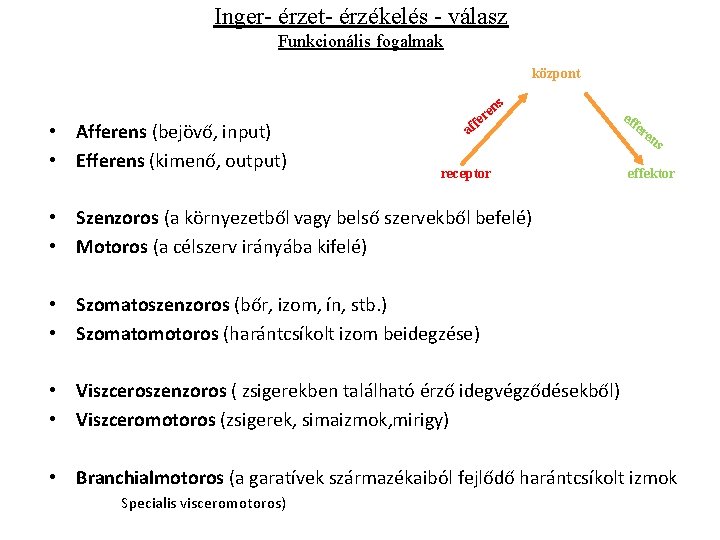 Inger- érzet- érzékelés - válasz Funkcionális fogalmak központ s • Afferens (bejövő, input) •