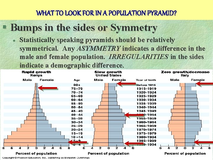 WHAT TO LOOK FOR IN A POPULATION PYRAMID? § Bumps in the sides or