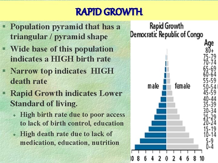 RAPID GROWTH § Population pyramid that has a triangular / pyramid shape § Wide