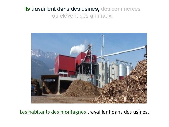 Ils travaillent dans des usines, des commerces ou élèvent des animaux. Les habitants des