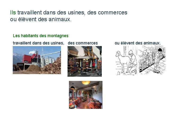 Ils travaillent dans des usines, des commerces ou élèvent des animaux. Les habitants des