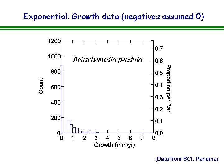 Exponential: Growth data (negatives assumed 0) 1200 0. 7 Beilschemedia pendula 0. 6 800