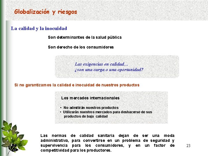 Globalización y riesgos La calidad y la inocuidad Son determinantes de la salud pública