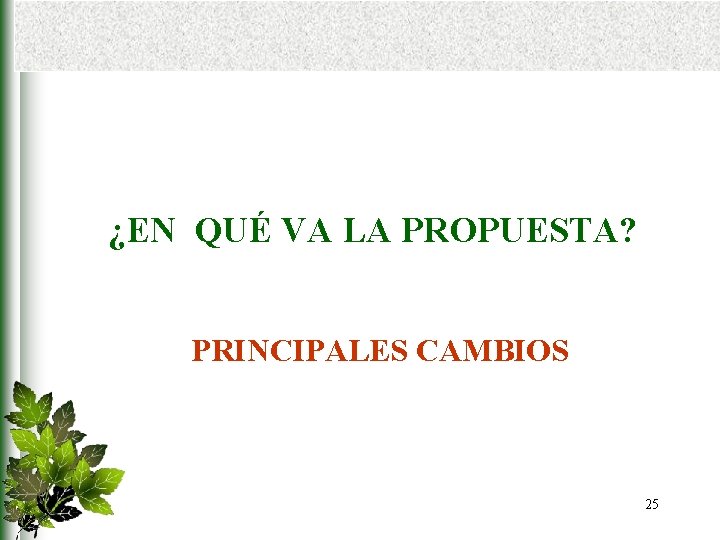¿EN QUÉ VA LA PROPUESTA? PRINCIPALES CAMBIOS 25 