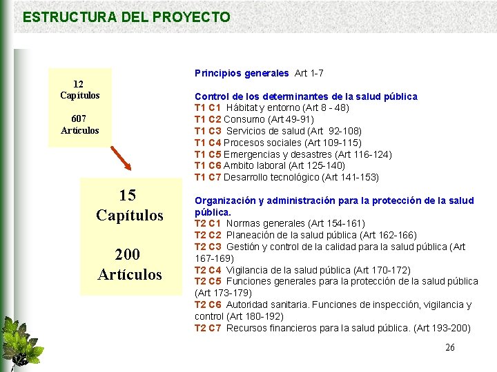 ESTRUCTURA DEL PROYECTO Principios generales Art 1 -7 12 Capítulos 607 Artículos 15 Capítulos