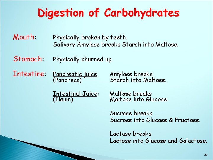 Digestion of Carbohydrates Mouth: Physically broken by teeth. Salivary Amylase breaks Starch into Maltose.