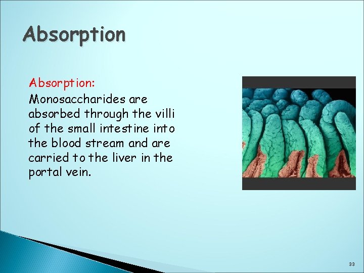 Absorption: Monosaccharides are absorbed through the villi of the small intestine into the blood