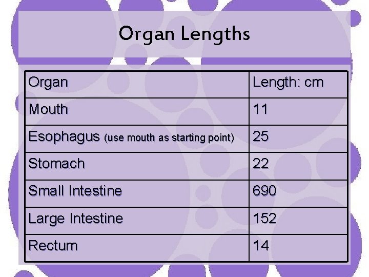 Organ Lengths Organ Length: cm Mouth 11 Esophagus (use mouth as starting point) 25