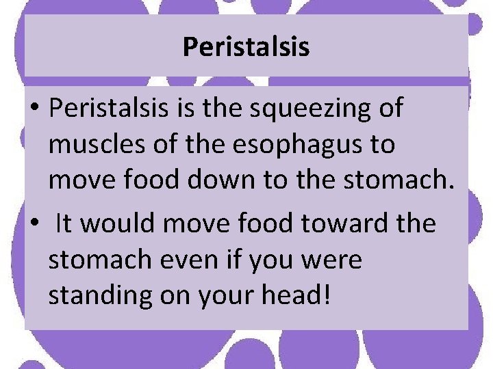 Peristalsis • Peristalsis is the squeezing of muscles of the esophagus to move food