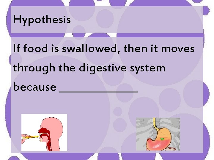 Hypothesis If food is swallowed, then it moves through the digestive system because ________