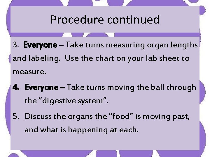 Procedure continued 3. Everyone – Take turns measuring organ lengths and labeling. Use the