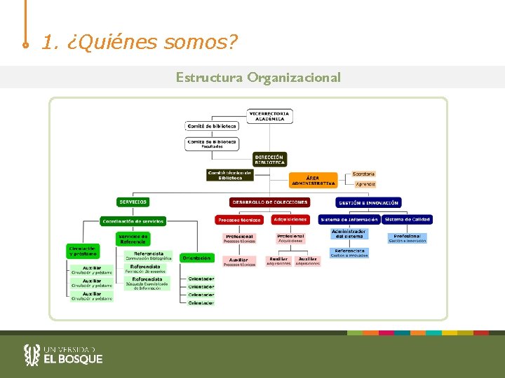 1. ¿Quiénes somos? Estructura Organizacional 