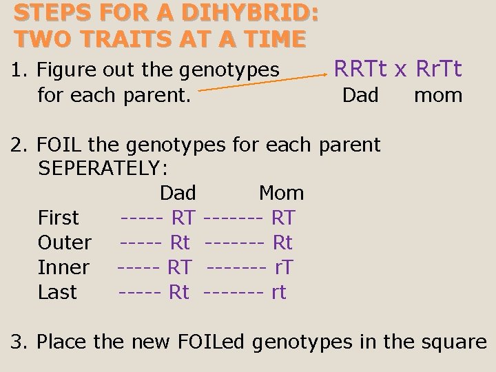 STEPS FOR A DIHYBRID: TWO TRAITS AT A TIME 1. Figure out the genotypes
