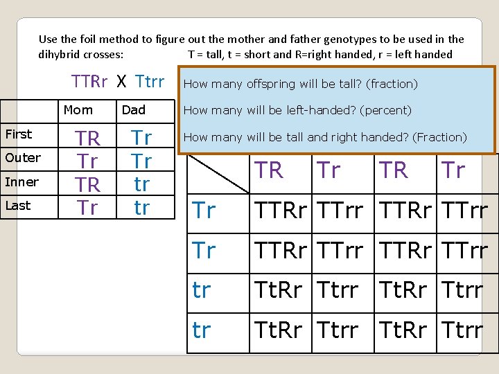Use the foil method to figure out the mother and father genotypes to be