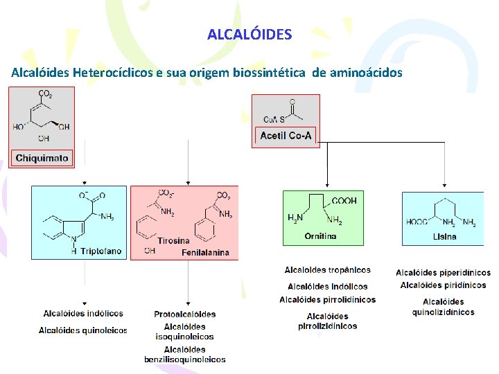 ALCALÓIDES Alcalóides Heterocíclicos e sua origem biossintética de aminoácidos 