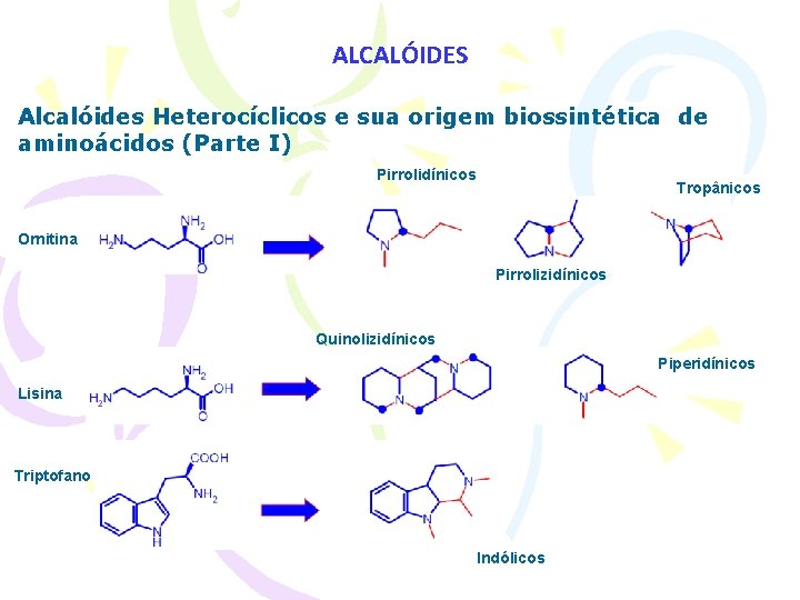 ALCALÓIDES Alcalóides Heterocíclicos e sua origem biossintética de aminoácidos (Parte I) Pirrolidínicos Tropânicos Ornitina