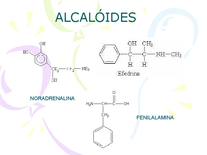 ALCALÓIDES NORADRENALINA FENILALAMINA 