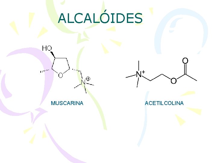 ALCALÓIDES MUSCARINA ACETILCOLINA 