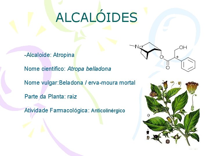 ALCALÓIDES -Alcaloide: Atropina Nome cientifico: Atropa belladona Nome vulgar: Beladona / erva-moura mortal Parte