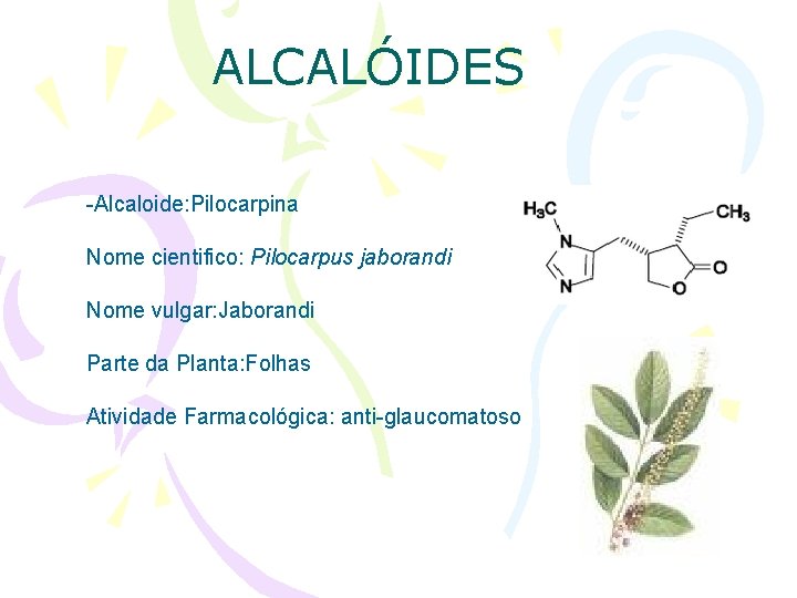 ALCALÓIDES -Alcaloide: Pilocarpina Nome cientifico: Pilocarpus jaborandi Nome vulgar: Jaborandi Parte da Planta: Folhas