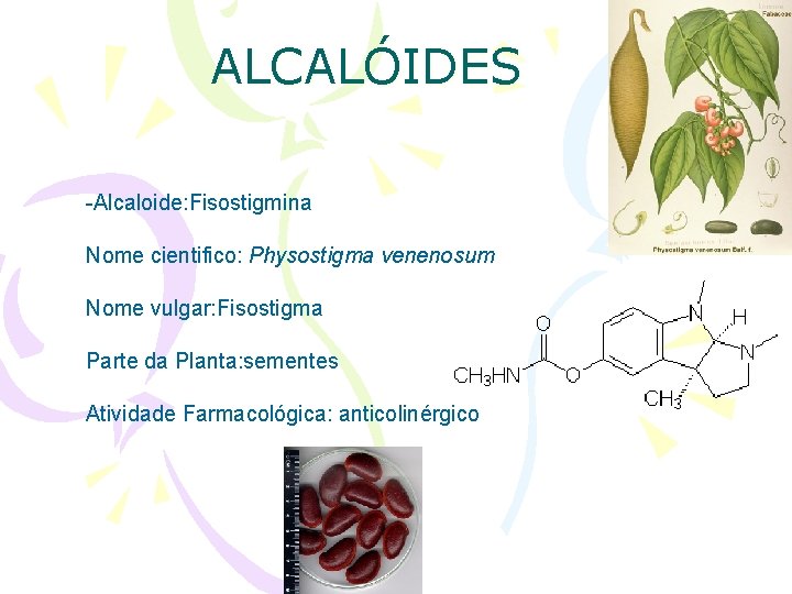 ALCALÓIDES -Alcaloide: Fisostigmina Nome cientifico: Physostigma venenosum Nome vulgar: Fisostigma Parte da Planta: sementes