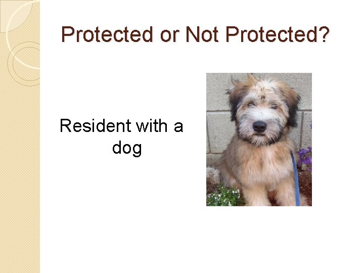 Protected or Not Protected? Resident with a dog 