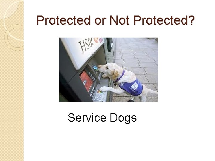 Protected or Not Protected? Service Dogs 