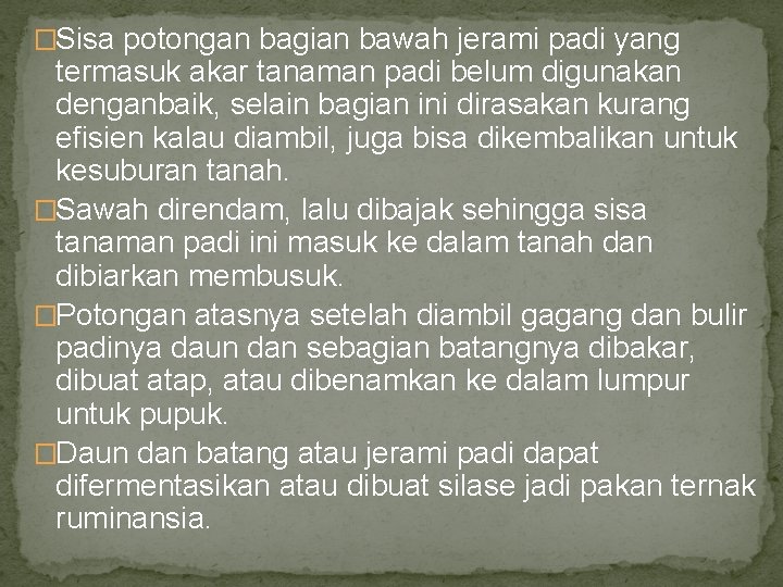 �Sisa potongan bagian bawah jerami padi yang termasuk akar tanaman padi belum digunakan denganbaik,