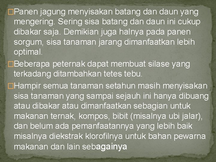 �Panen jagung menyisakan batang dan daun yang mengering. Sering sisa batang dan daun ini