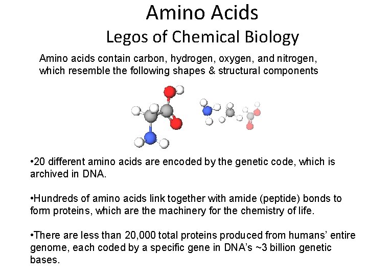 Amino Acids Legos of Chemical Biology Amino acids contain carbon, hydrogen, oxygen, and nitrogen,