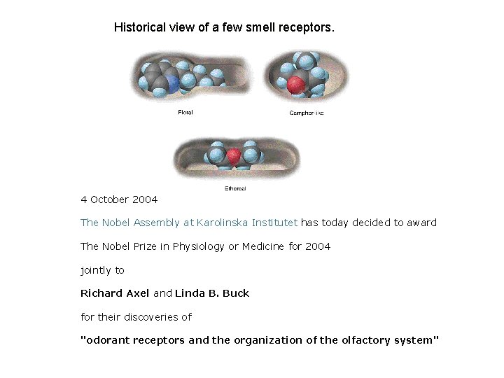 Historical view of a few smell receptors. 4 October 2004 The Nobel Assembly at