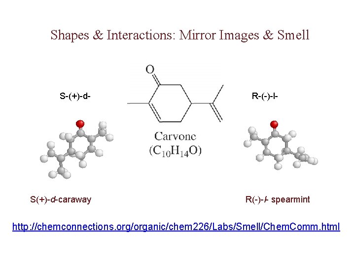 Shapes & Interactions: Mirror Images & Smell S-(+)-d- S(+)-d-caraway R-(-)-l- R(-)- l- spearmint http: