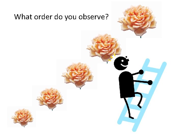 What order do you observe? 