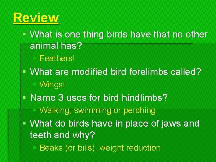 Review § What is one thing birds have that no other animal has? §
