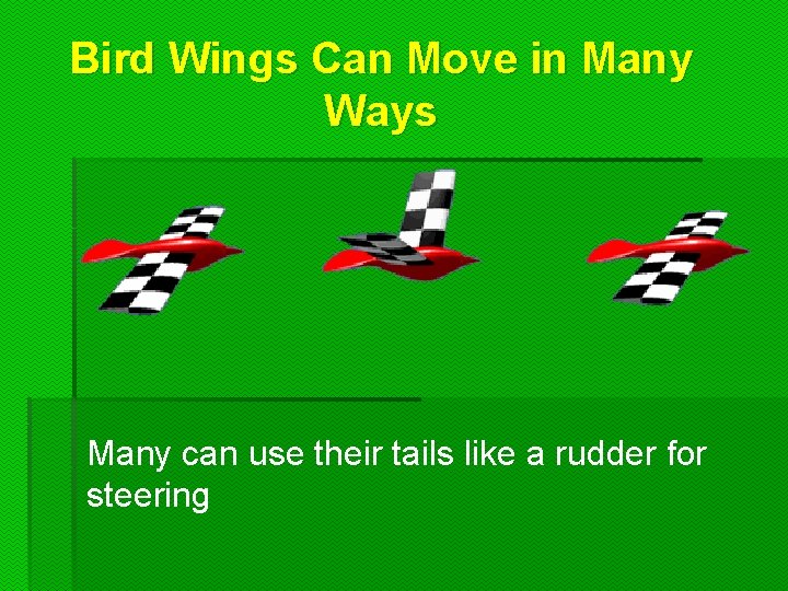 Bird Wings Can Move in Many Ways Many can use their tails like a