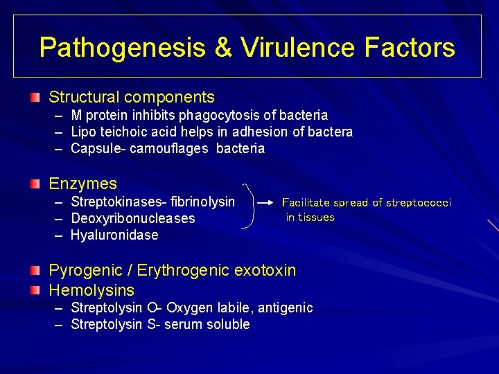 Pathogenesis & Virulence Factors Structural components – M protein inhibits phagocytosis of bacteria –