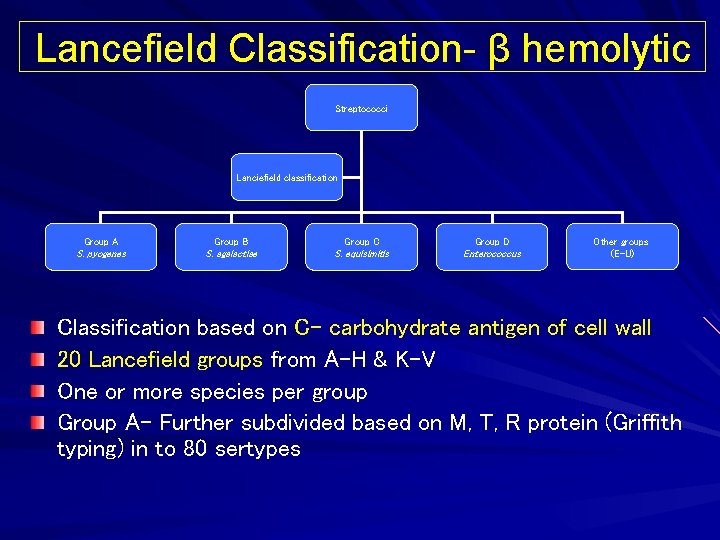 Lancefield Classification- β hemolytic Streptococci Lanciefield classification Group A Group B Group C Group
