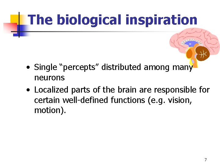 The biological inspiration • Single “percepts” distributed among many neurons • Localized parts of