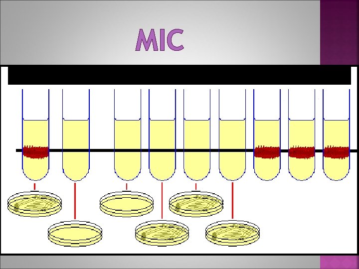 MIC 