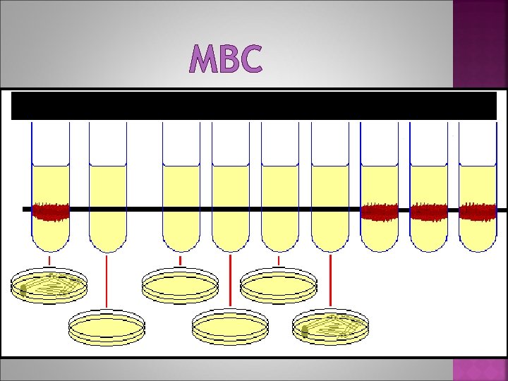 MBC 